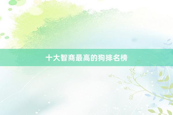 十大智商最高的狗排名榜