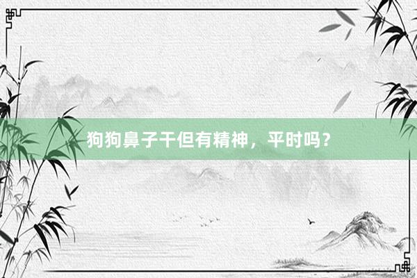 狗狗鼻子干但有精神，平时吗？